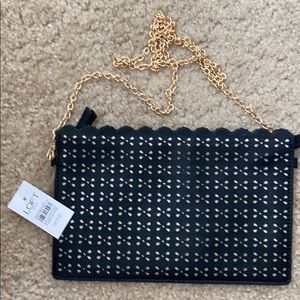 Purse with gold chain